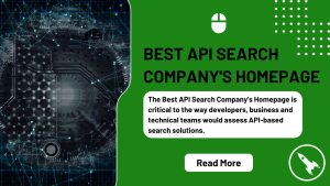 best api search company's homepage